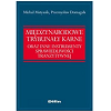 miniatura Monografia dr. Michała Matyasika pt. Międzynarodowe Trybunały Karne oraz instrumenty sprawiedliwości tranzytywnej
